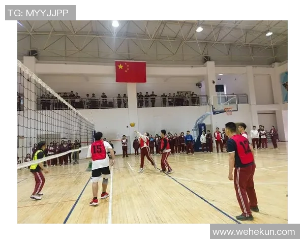 南京排球队实力飙升创新高引领排球力量新格局