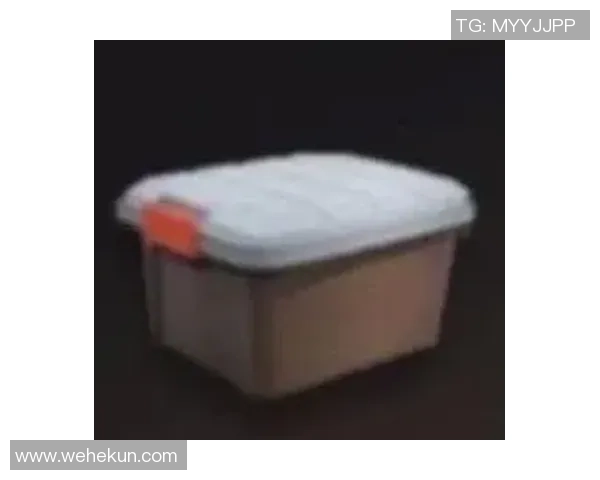 吴强独家分享网球心得与技巧助你提升球技的全面指南